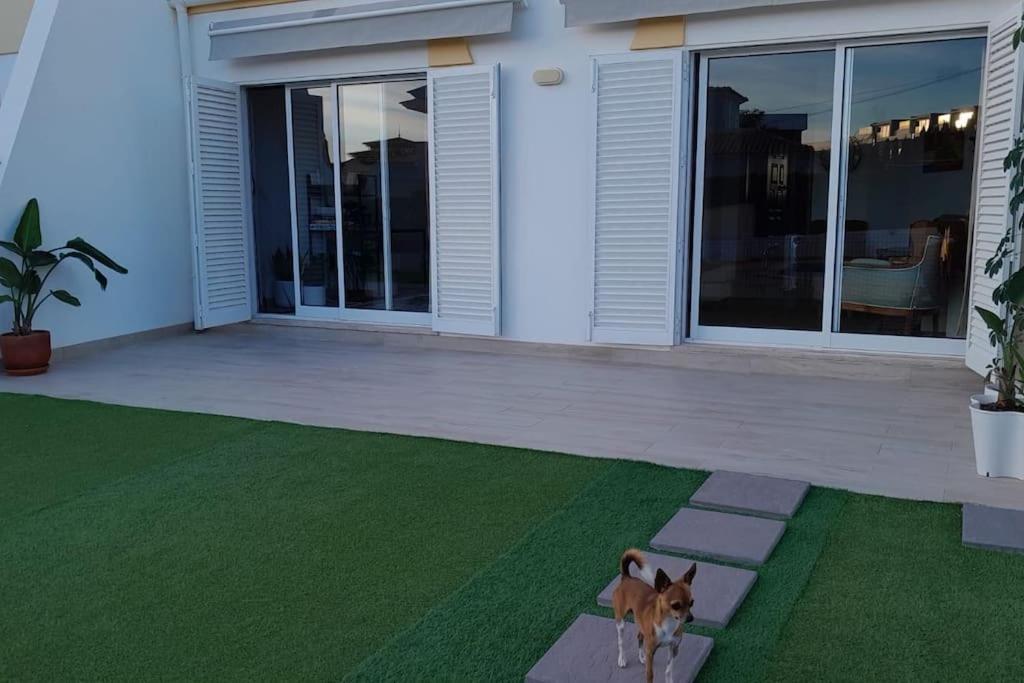 Gale Premium House - Pet Friendly Villa Албуфейра Екстериор снимка