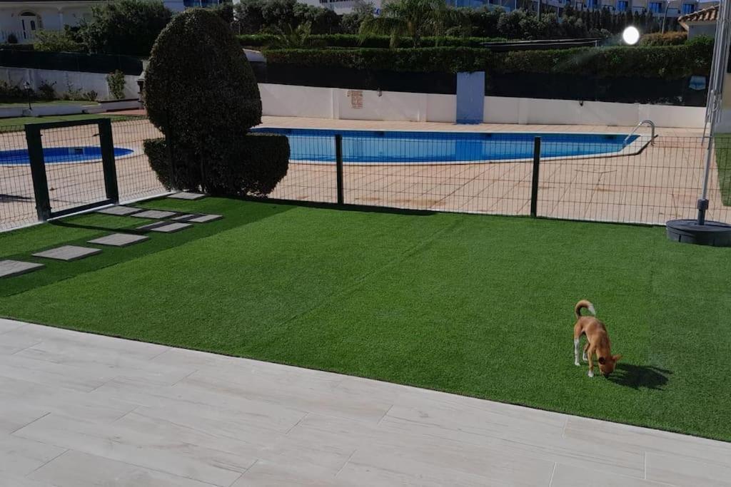 Gale Premium House - Pet Friendly Villa Албуфейра Екстериор снимка