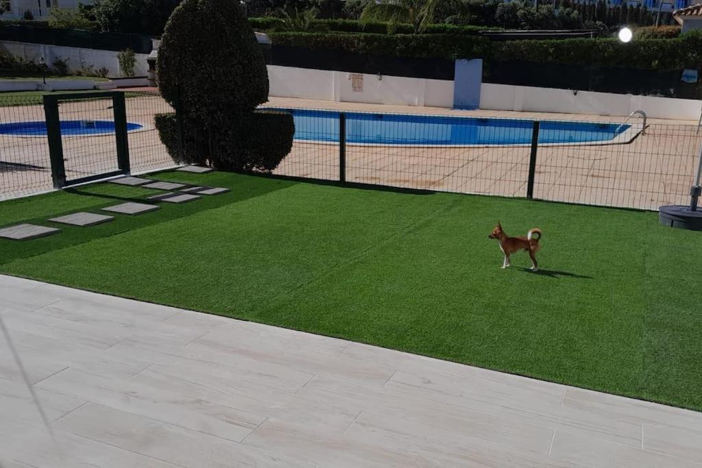 Gale Premium House - Pet Friendly Villa Албуфейра Екстериор снимка